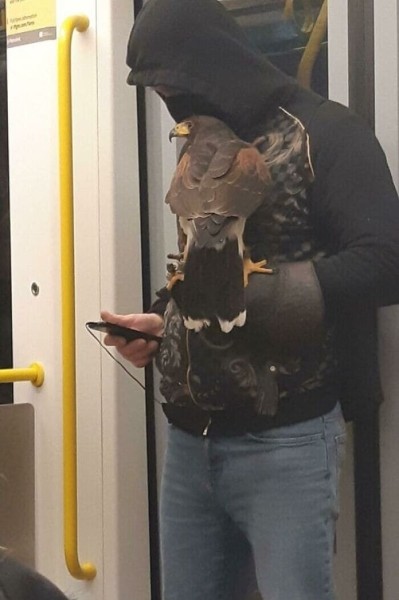 На фото показали ситуации в общественном транспорте, вводящие в ступор На фото показали ситуации в общественном транспорте, вводящие в ступор