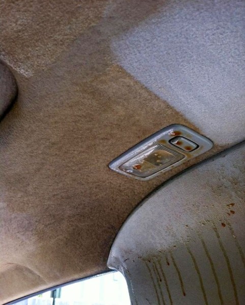 Рак не страшен? На фото показали влияние табачного дыма на окружение Рак не страшен? На фото показали влияние табачного дыма на окружение