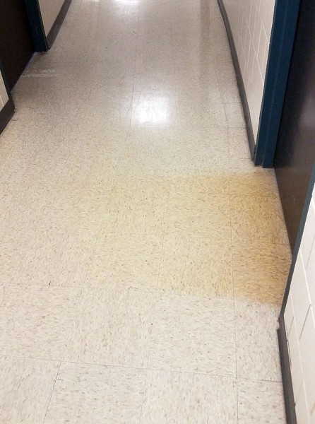 Рак не страшен? На фото показали влияние табачного дыма на окружение Рак не страшен? На фото показали влияние табачного дыма на окружение