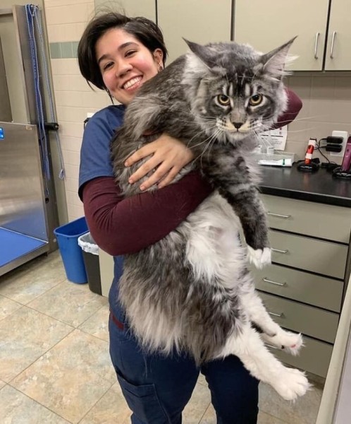 Размер имеет значение? Посмотрите на фото действительно больших животных