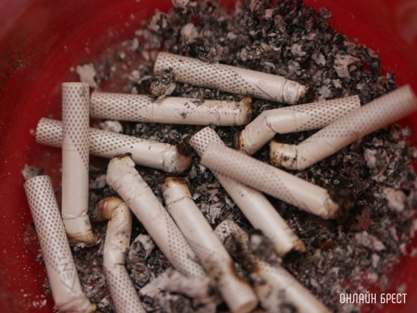 Одна сигарета сокращает жизнь на 20 минут — ученые